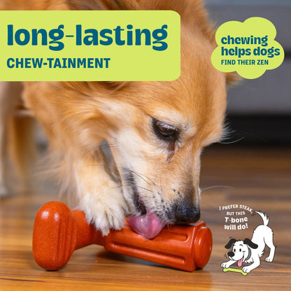Dog enjoying Pupstages Dogwood Hold & Chew with long-lasting chew entertainment