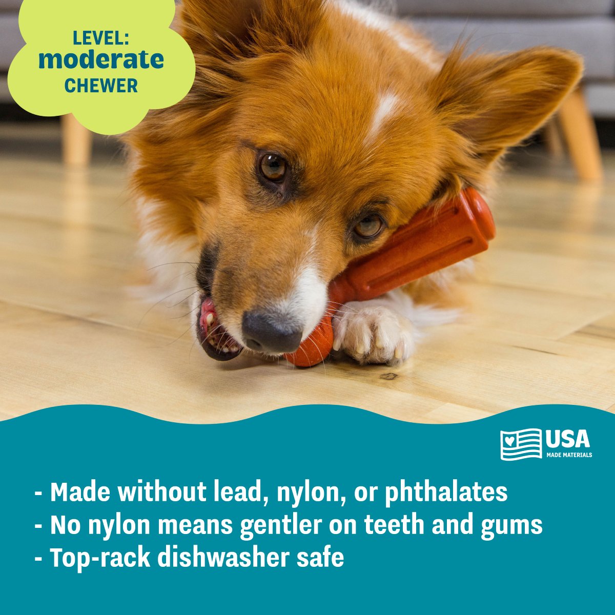Dog chewing Pupstages Dogwood Hold & Chew moderate chew level toy