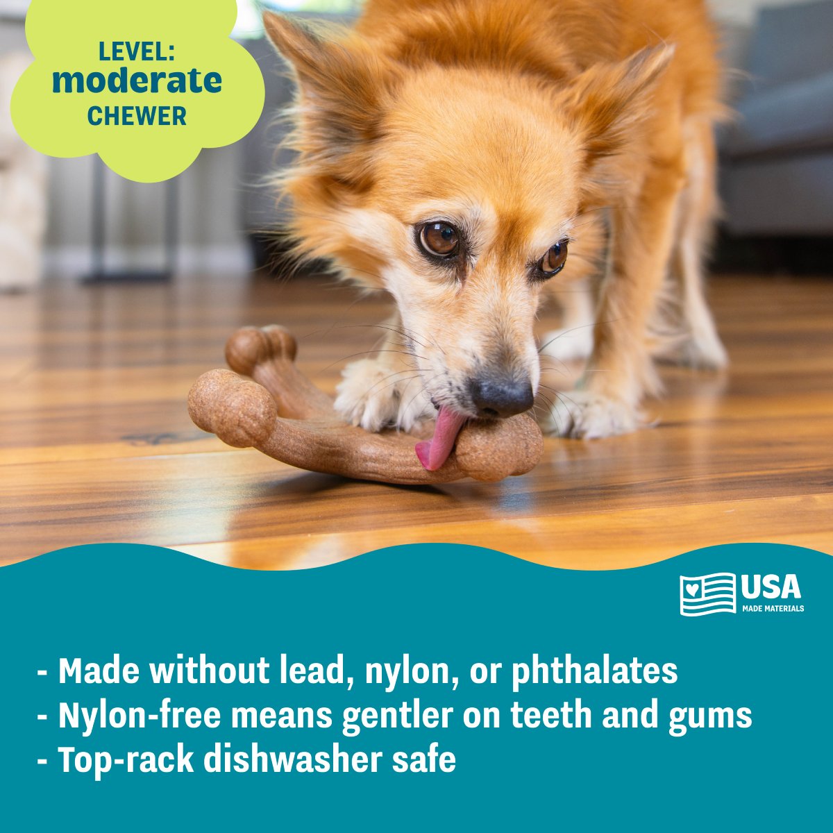 Pupstages Dogwood Jack for moderate chewers made without lead nylon or phthalates