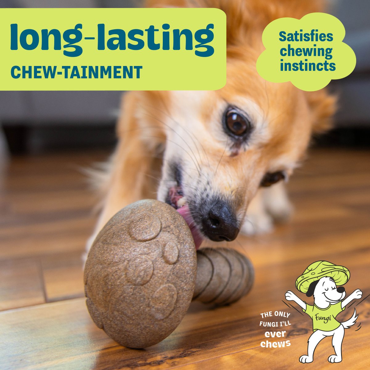Dog chewing Pupstages Dogwood Mushroom toy designed for long-lasting chew time