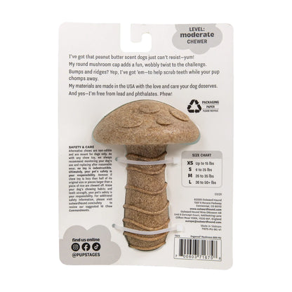 Back of Pupstages Dogwood Mushroom packaging with safety and size information