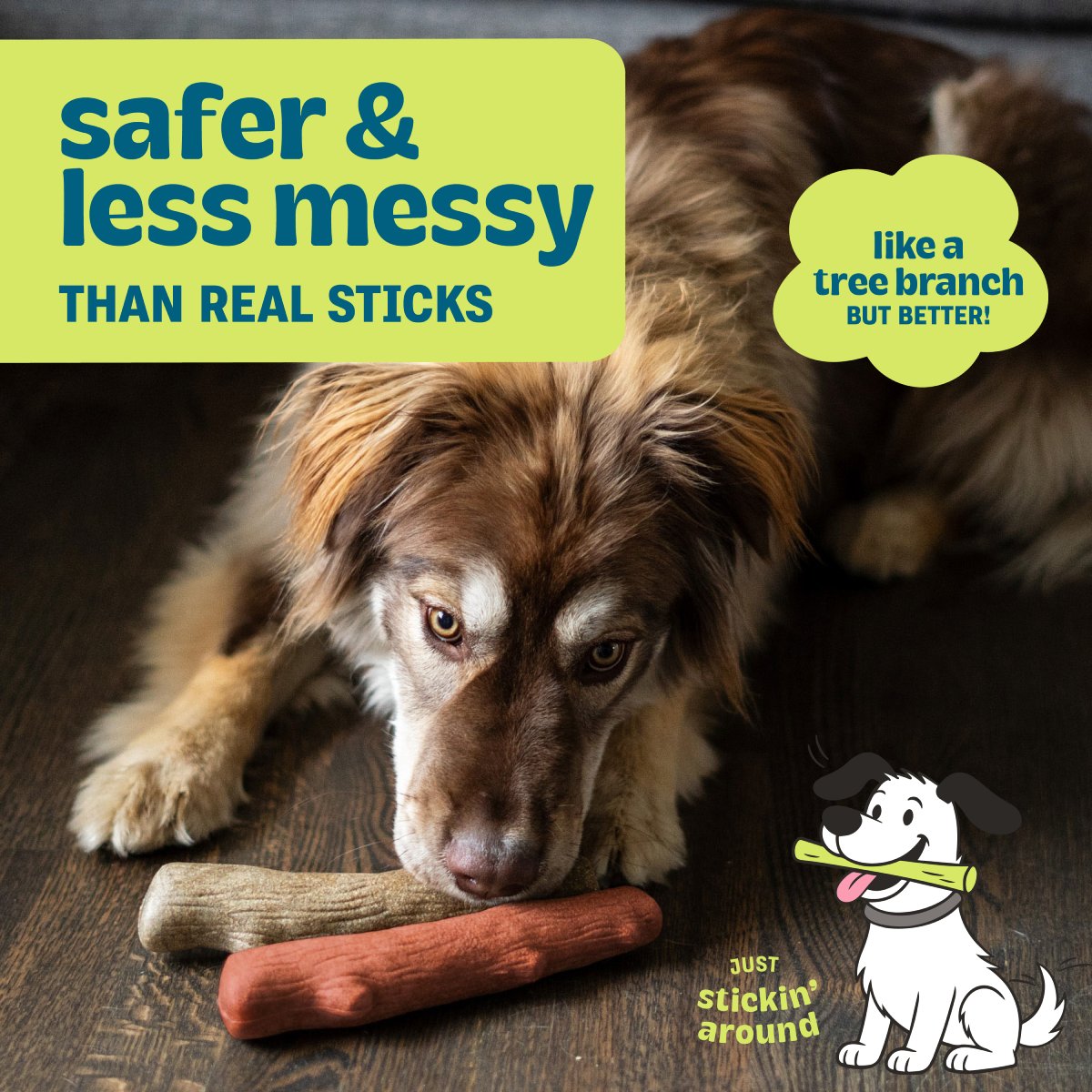 Dog with Pupstages Dogwood Original and Mesquite chews shown as a safer alternative to real sticks