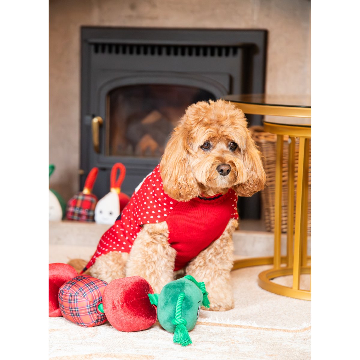 Small curly-haired dog sitting beside Rosewood Casper Caterpillar festive plush dog toy in a cosy Christmas setting