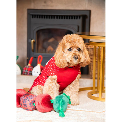 Small curly-haired dog sitting beside Rosewood Casper Caterpillar festive plush dog toy in a cosy Christmas setting