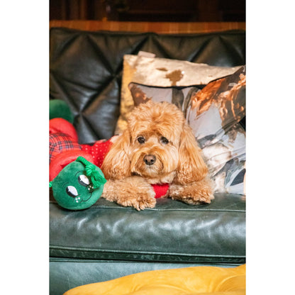 Curly-haired dog relaxing on a green sofa with Casper Caterpillar's smiling plush head and festive segmented body