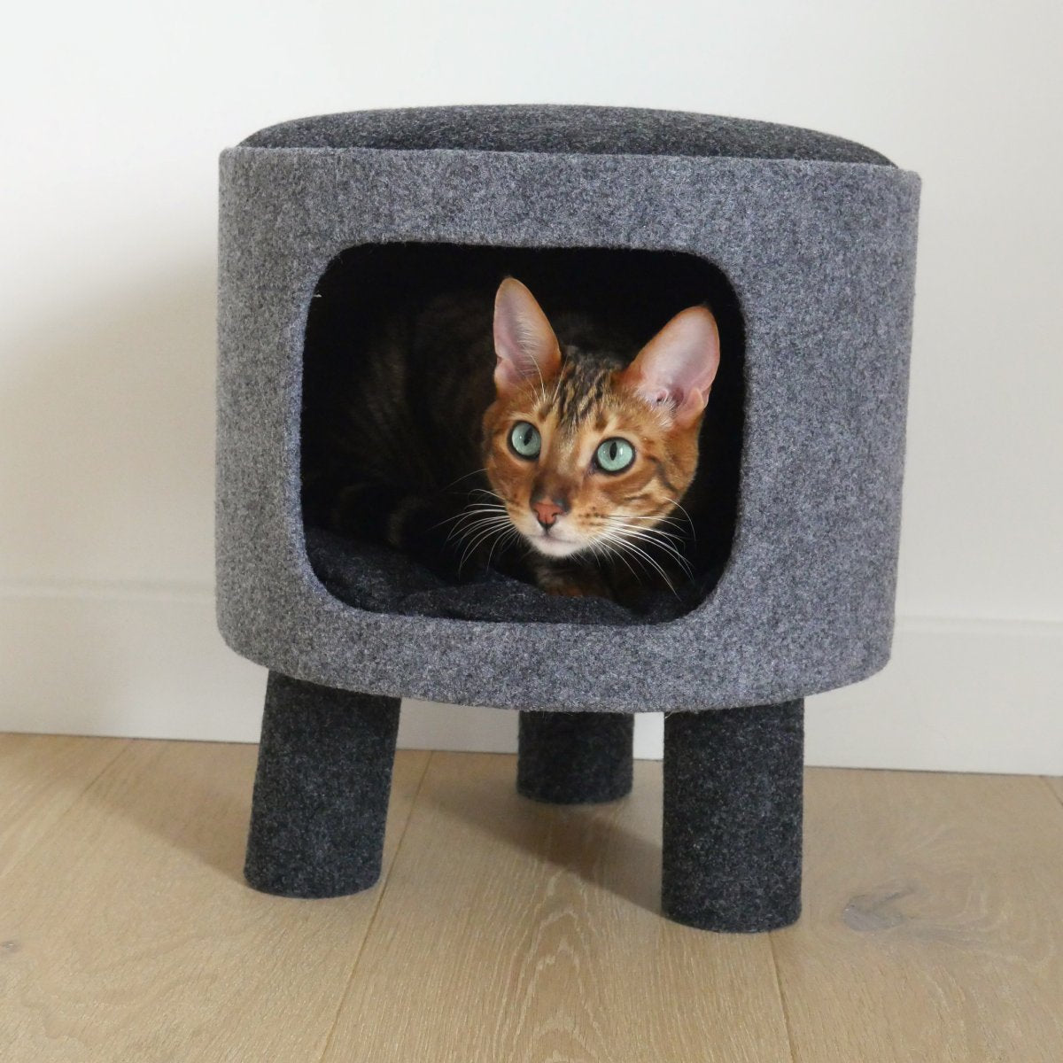 Cat resting inside the Rosewood Catwalk Collection Charcoal Felt Cat Den and Stool
