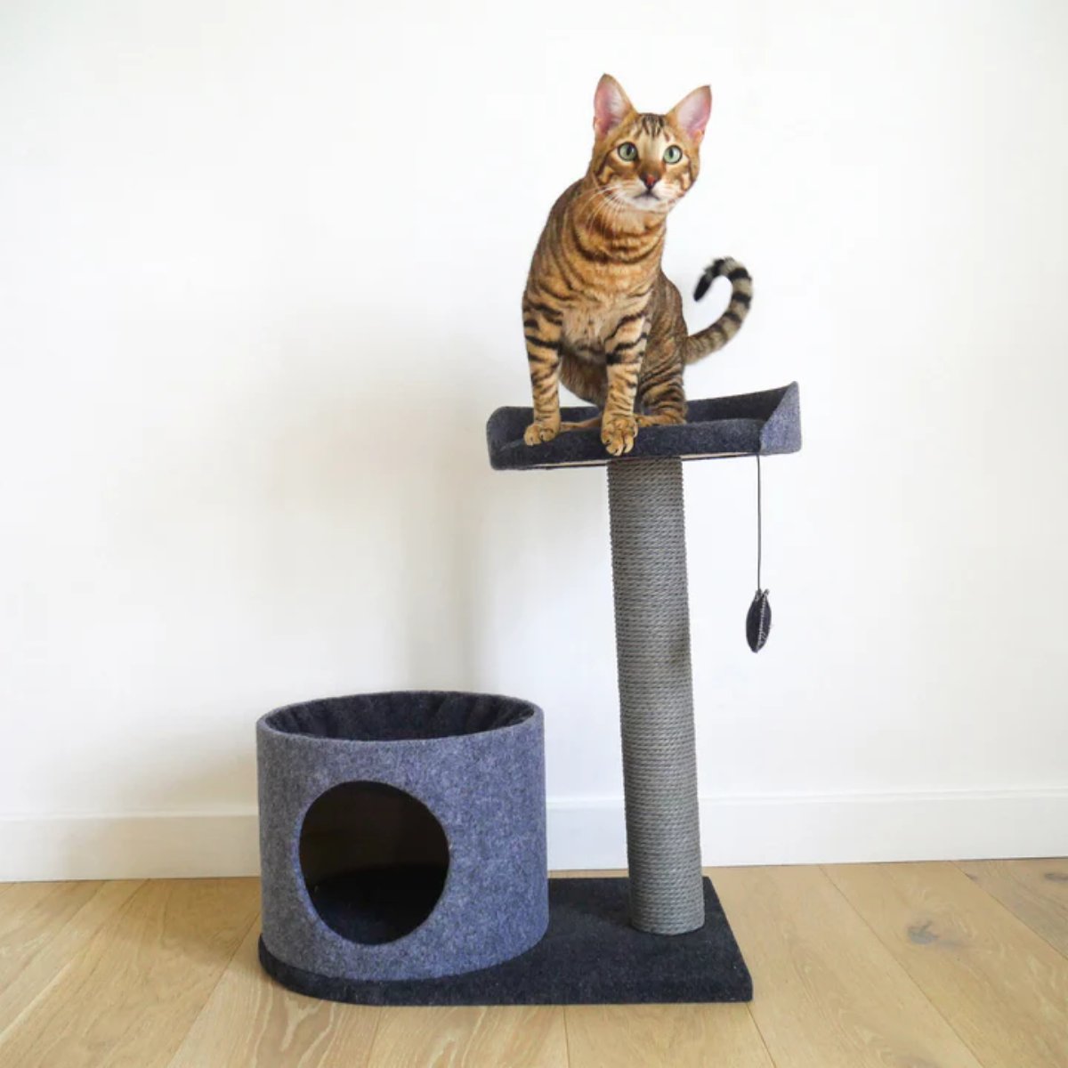 Cat sitting on the raised perch of the Rosewood charcoal felt cat house and scratching post