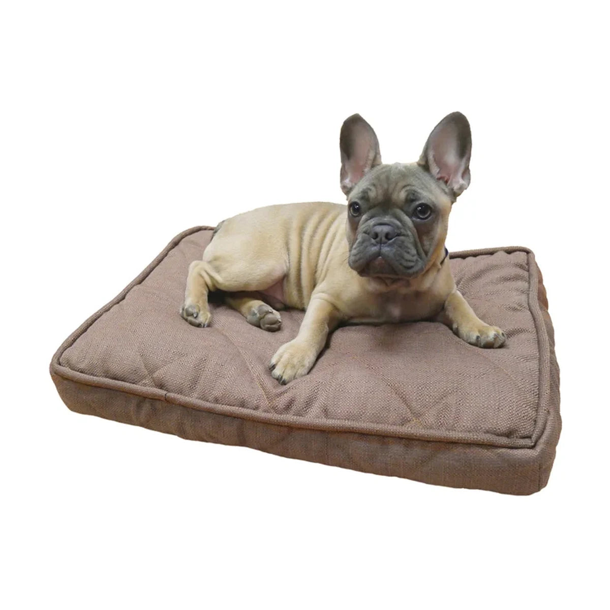 French Bulldog resting on the Rosewood Chocolate Tweed Dog Mattress, showing its rectangular cushioned design and chocolate brown fabric.