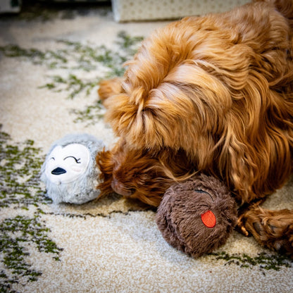 Brown curly-haired dog playing beside Rosewood Ralphie Reindeer and Parker Penguin plush tennis ball dog toys on a rug.