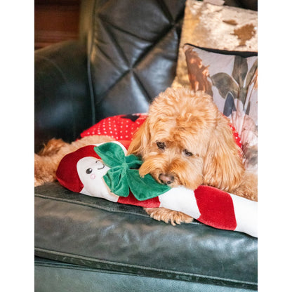Small curly-haired dog resting on a dark green sofa with the Rosewood Clark Candy Cane plush Christmas dog toy and its oversized green bow.