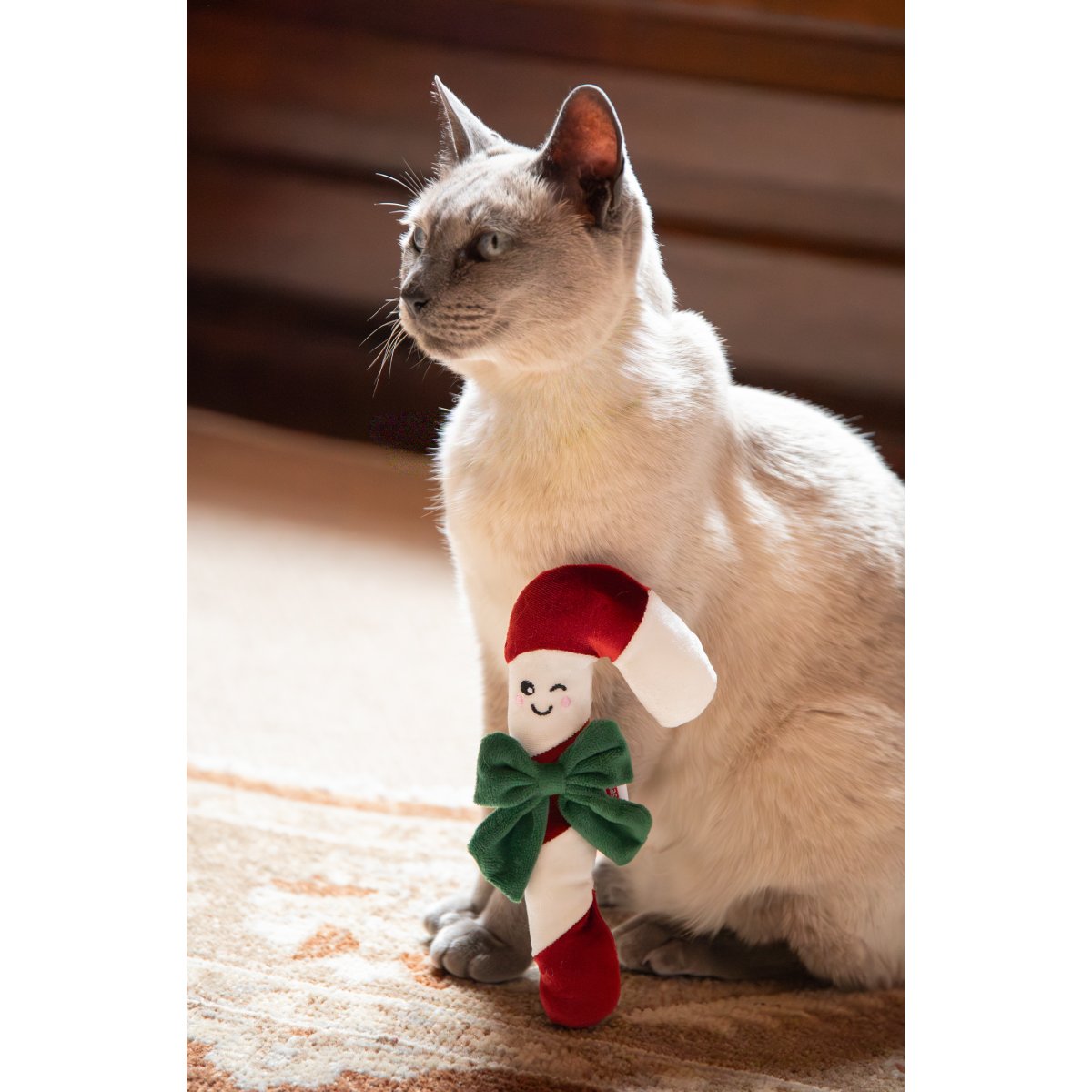 Siamese-style cat sitting beside the Rosewood Claude Candy Cane Christmas catnip toy with red and white stripes and green velvet bow.