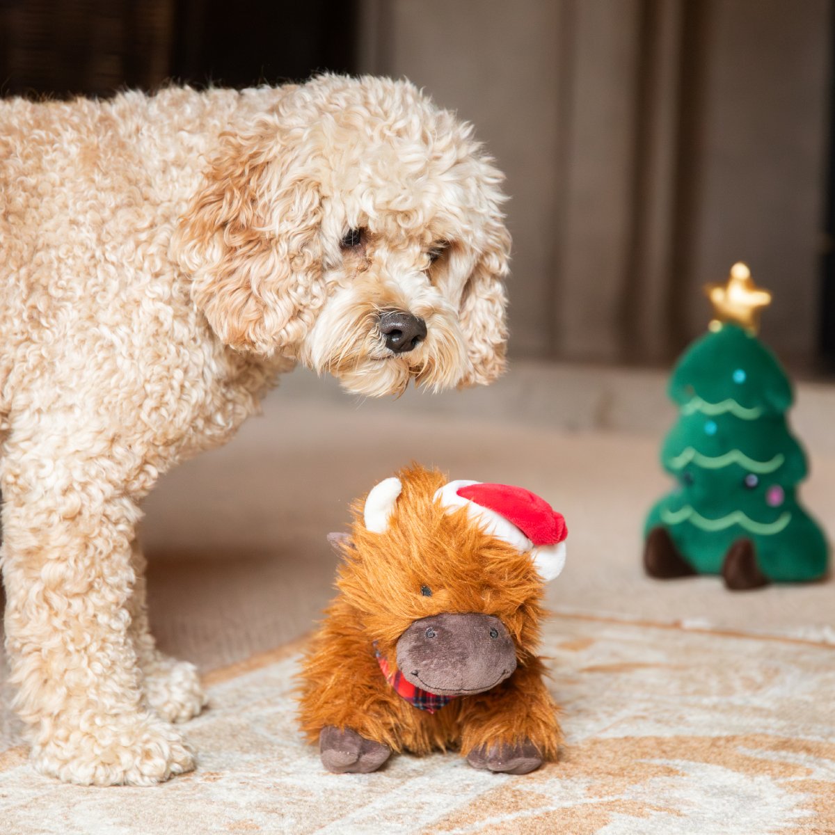 Cream-coloured dog looking at Rosewood Clifford Cow plush Christmas dog toy sitting on a rug, showing its shaggy brown coat, Santa hat and tartan bandana.