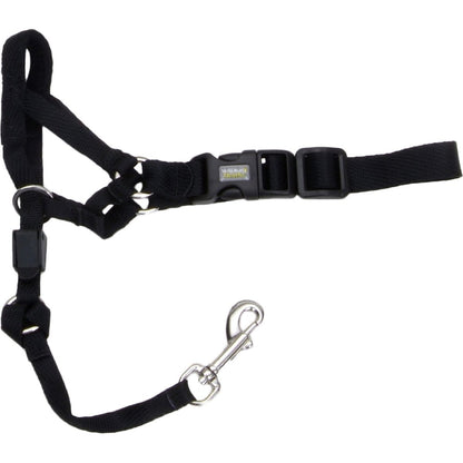 Rosewood Coastal Walk 'n Train Dog Head Halter in black