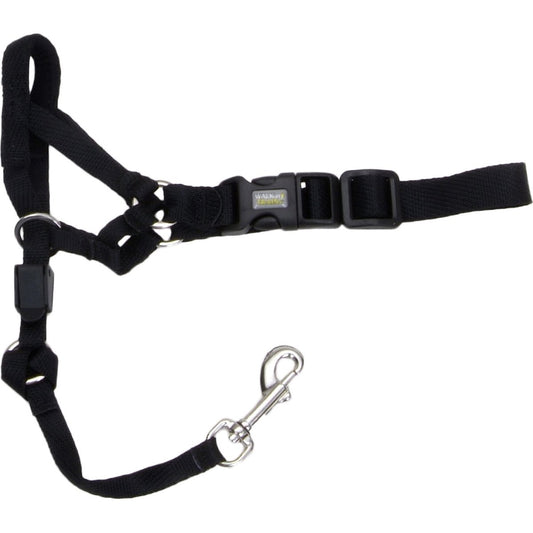 Rosewood Coastal Walk 'n Train Dog Head Halter in black