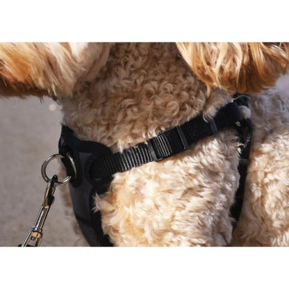 Strap and adjustment detail on Rosewood Coastal Walk 'n Train padded dog harness