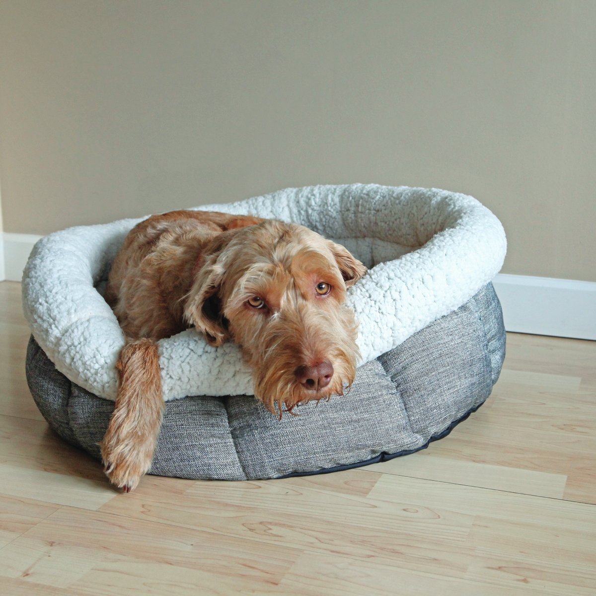 Shaggy brown dog relaxing in the Rosewood Deep Tweed Teddy Bear Round Dog Bed with its head and front leg resting over the soft cream fleece rim.