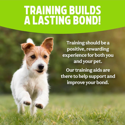 Dog training outdoors with Rosewood training aids
