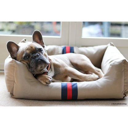 French Bulldog lying comfortably in a beige Rosewood Designer Water-Resistant Dog Bed beside a window.