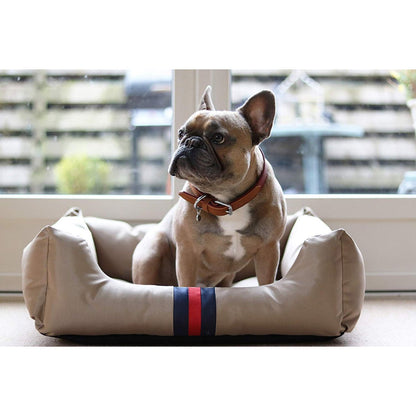 French Bulldog sitting upright inside a beige Rosewood Designer Water-Resistant Dog Bed with navy and red stripes.