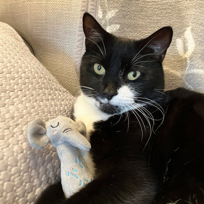 Black-and-white cat resting with a grey Rosewood Eco Friendly Elephant Grab Cat Toy on a sofa
