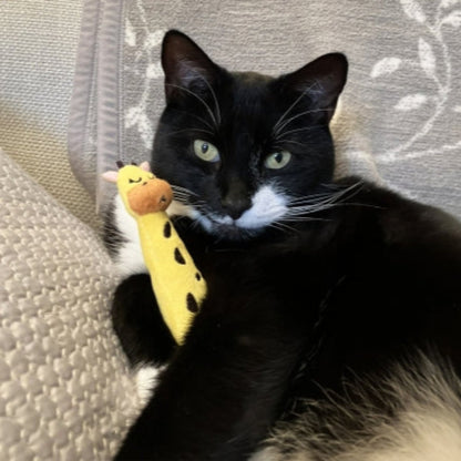 Black-and-white cat holding a yellow Rosewood Eco Friendly Giraffe Grab Cat Toy on a sofa