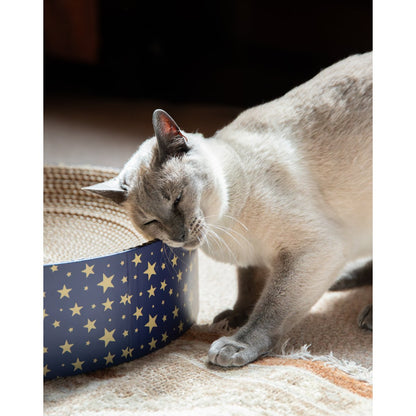 Siamese-style cat rubbing its cheek against the navy blue and gold star-patterned rim of the Rosewood Festive Cardboard Cat Scratcher.