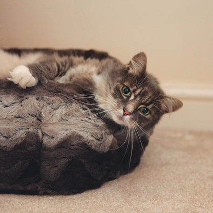 Tabby cat relaxing on the soft grey plush rim of the Rosewood Grey & Cream Snuggle Plush Round Cat Bed, showing the comfortable textured fabric and cushioned edge.