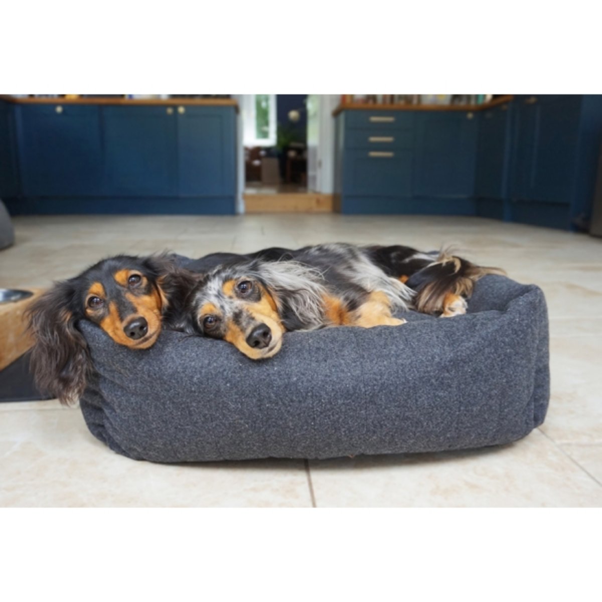 Two long-haired Dachshunds lying side by side in a Rosewood Grey Felt Memory Foam Square Dog Bed, resting their heads on the padded front edge.