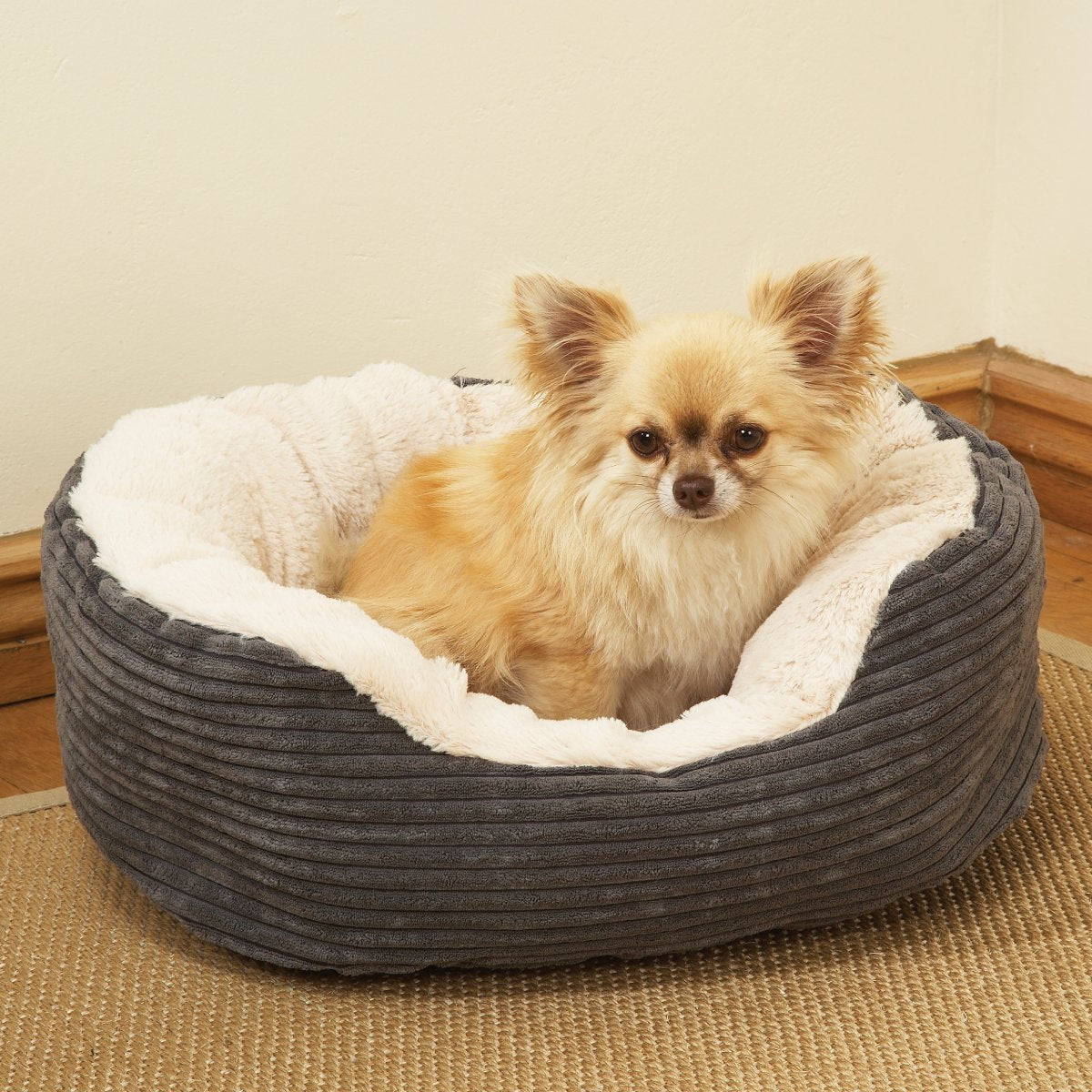 Small long-haired tan dog resting in the Rosewood Grey Jumbo Cord & Plush Oval Dog Bed with soft cream lining in a cosy home setting.