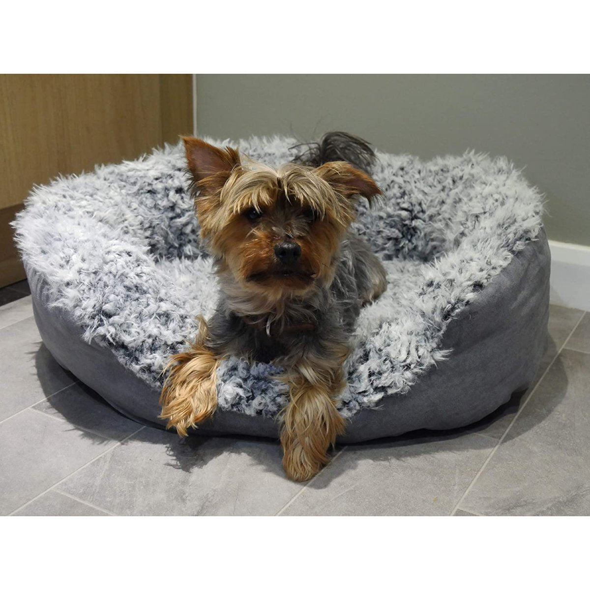 Yorkshire Terrier resting with its front paws over the edge of the Rosewood Grey Lion Faux Suede Oval Dog Bed, showing the thick grey plush lining and faux suede sides.