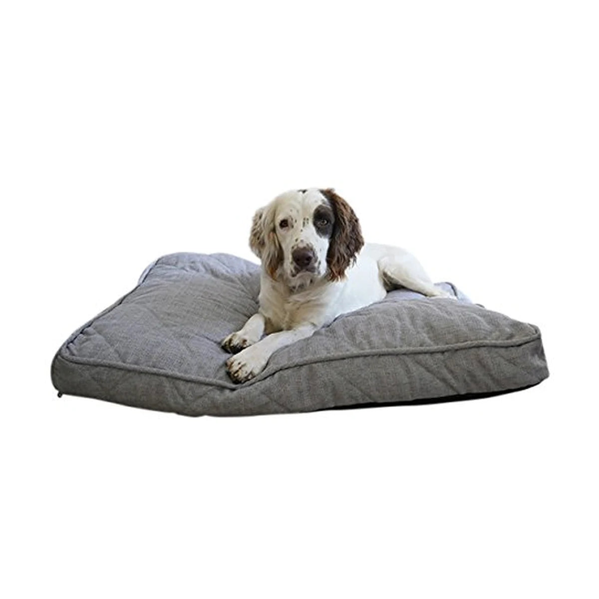 White and brown spaniel resting on the Rosewood Grey Tweed Mattress, showing its thick cushioning and spacious rectangular sleeping surface.
