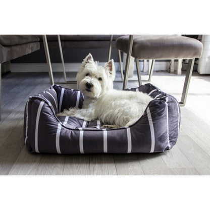 White terrier lying comfortably in a grey velvet striped Rosewood Square Dog Bed on a light floor in a modern living room.