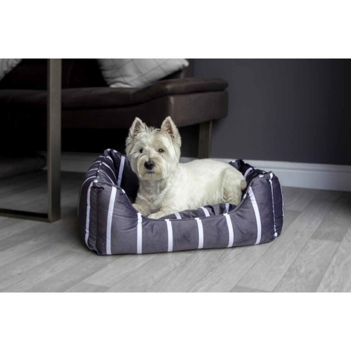 White terrier resting inside a Rosewood Grey Velvet Stripes Square Dog Bed, showing its soft inner cushion and padded sides.