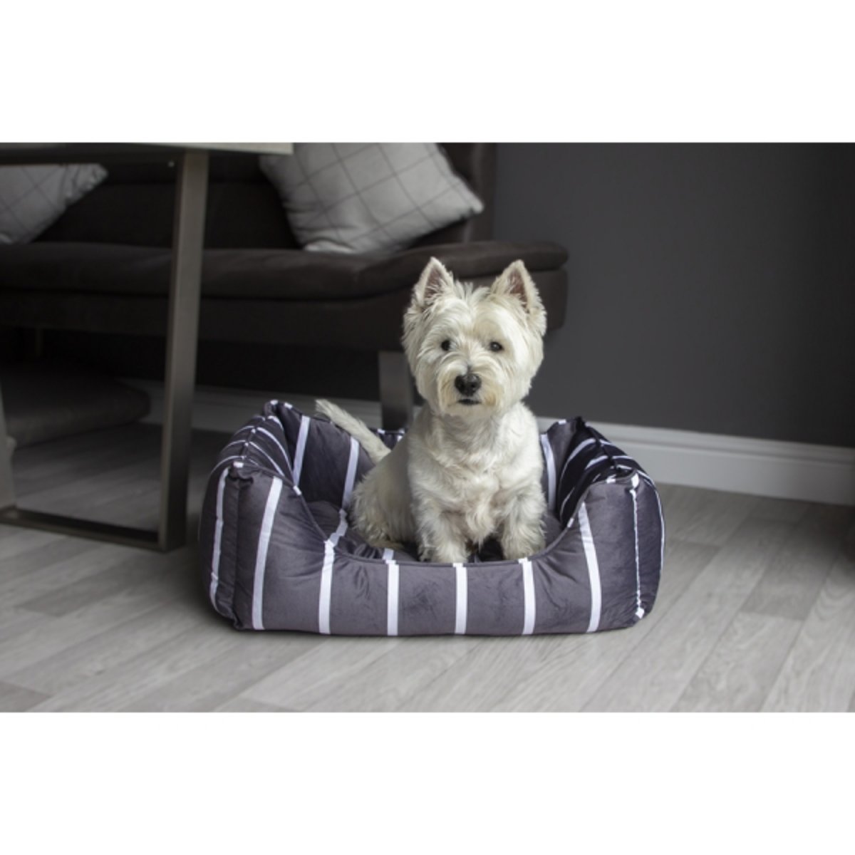 Small white terrier sitting upright in a Rosewood Grey Velvet Stripes Square Dog Bed with padded grey and white striped sides.
