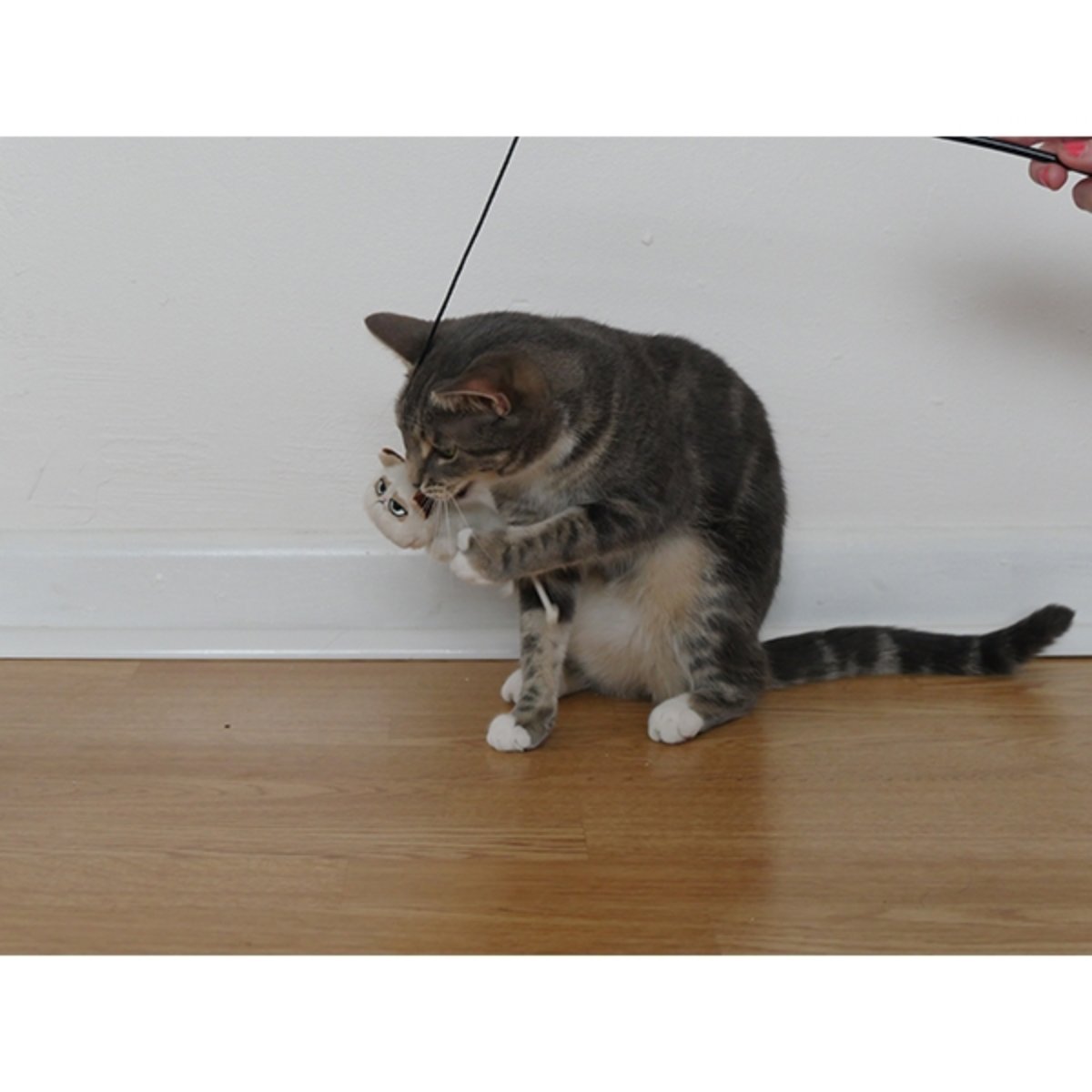 Cat playing indoors with the dangling plush toy on the Rosewood Grumpy Cat wand