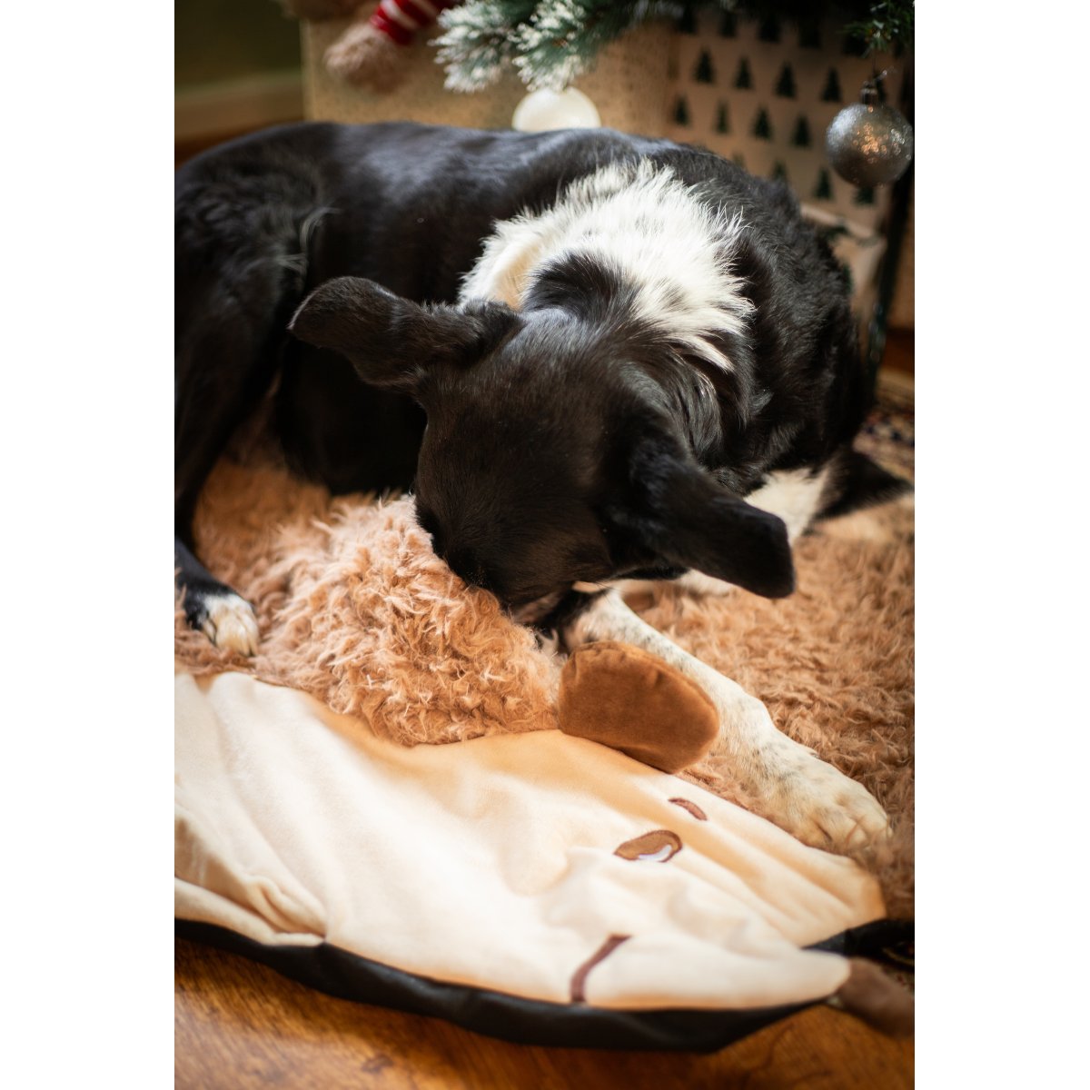 Black and white dog sniffing the fluffy brown surface of the Rosewood Hedgehog Snuffle & Burrow Blanket, with its cream hedgehog face visible.