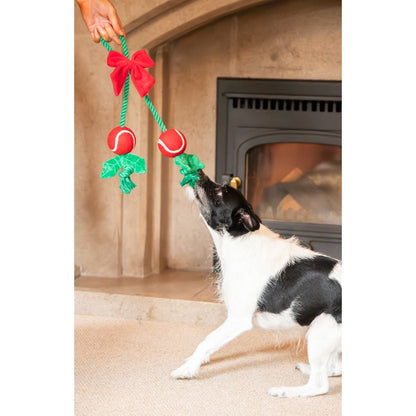 Black and white dog reaching towards the Rosewood Holly Jolly Christmas rope toy held by its green loop during interactive play indoors.