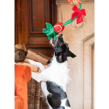 Black and white dog standing on its hind legs and reaching for the Rosewood Holly Jolly festive rope dog toy with red balls and green ropes.