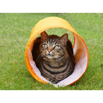 Cat sitting inside Rosewood Jolly Moggy Cat Tunnel for hiding and playful tunnel fun