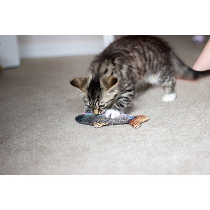 Kitten playing with Rosewood Jolly Moggy Catnip Red Snapper plush fish cat toy on carpet