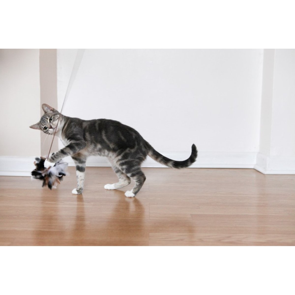 Grey tabby cat playing with a Rosewood Jolly Moggy natural feather teaser cat wand indoors
