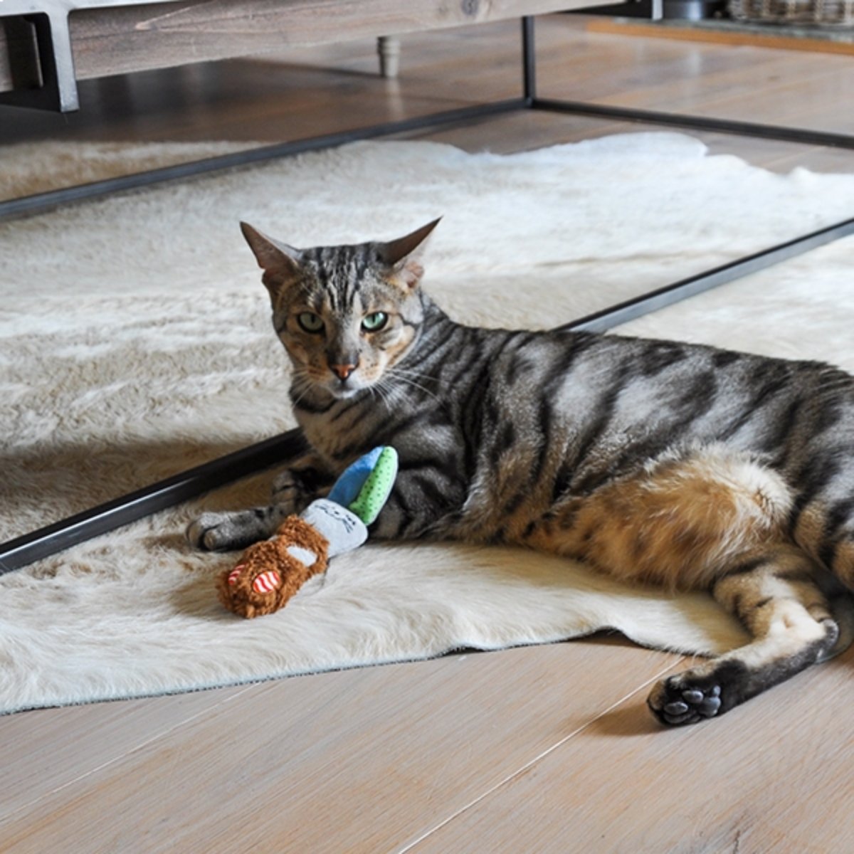 Cat relaxing with Rosewood Little Nippers Floppy Rabbit catnip plush toy