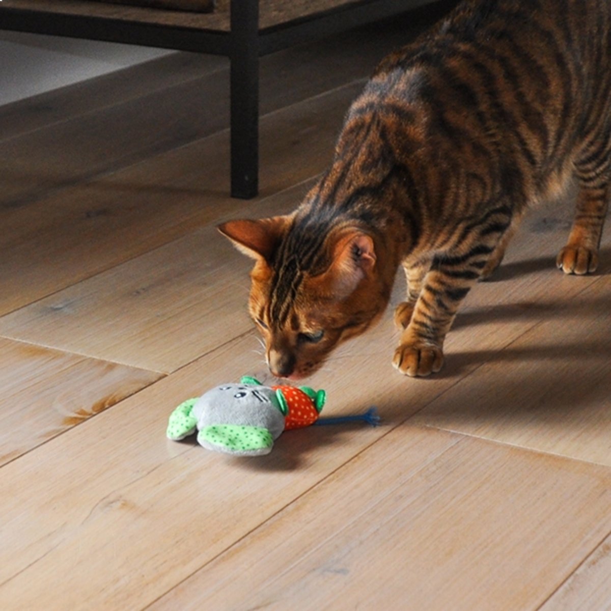 Cat playing with Rosewood Little Nippers Mighty Mouse catnip cat toy