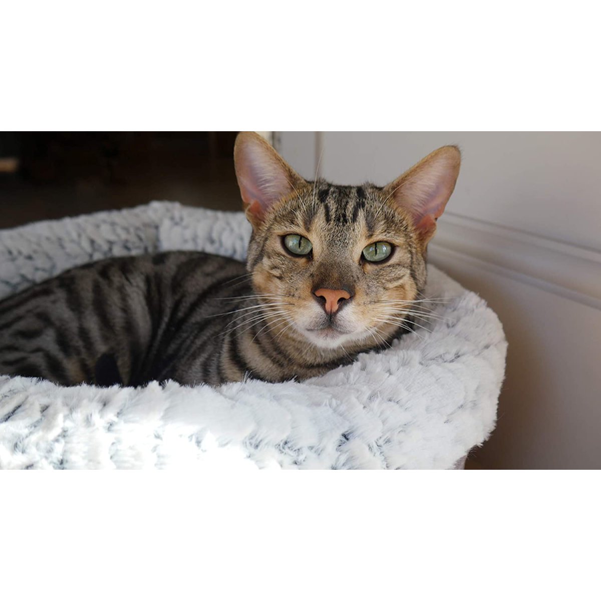 Tabby cat relaxing in the Rosewood Luxury Fleece Lined Plush Cat Bed, resting against the soft fluffy grey and white cushioned rim.