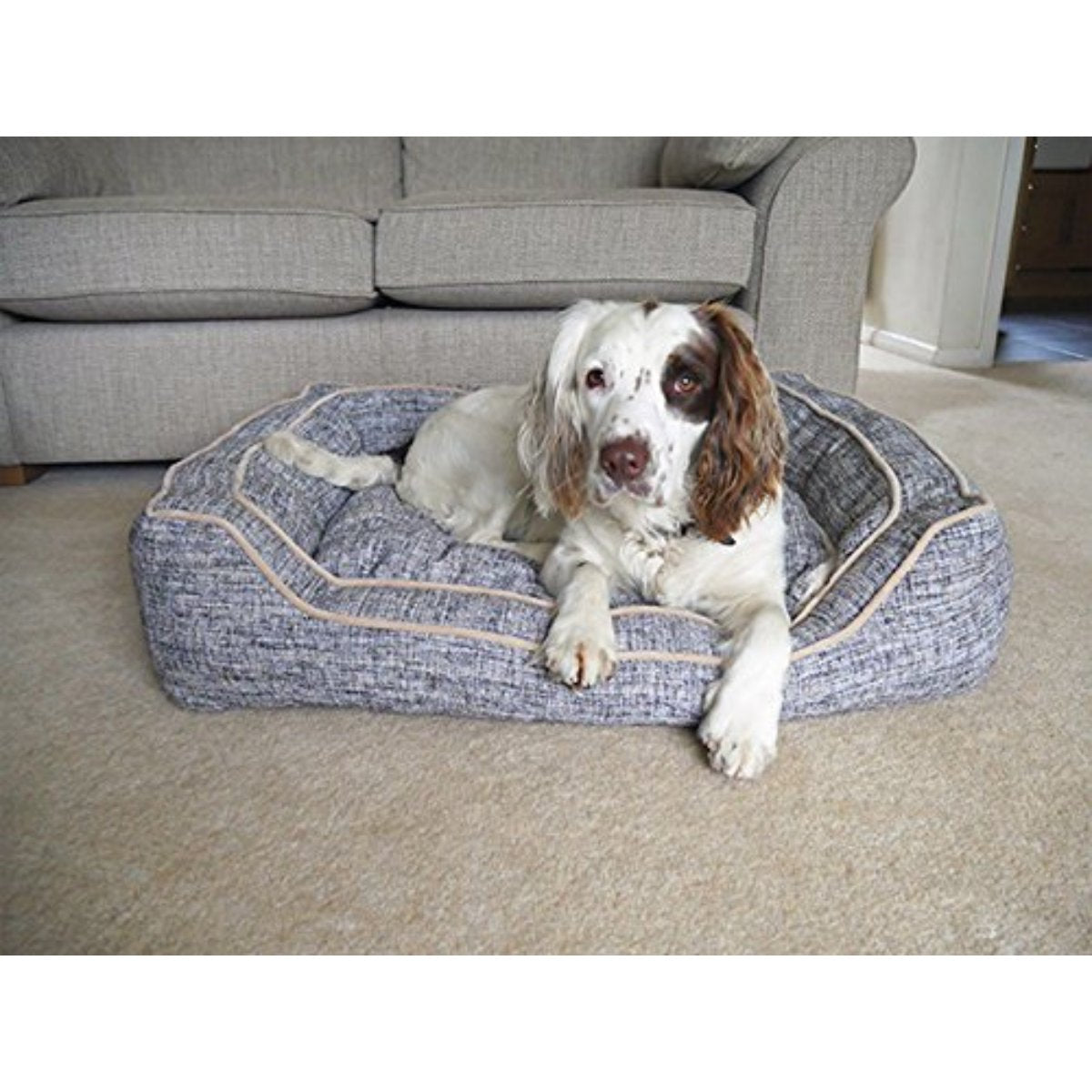 White and brown spaniel relaxing in a Rosewood Luxury Slate & Oatmeal Square Dog Bed with raised sides and oatmeal piping, positioned in front of a grey sofa.