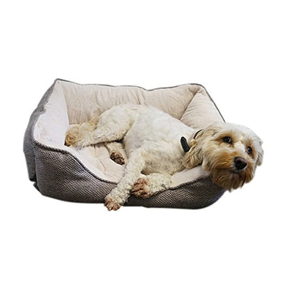 Small cream-coloured dog relaxing in a Rosewood Luxury Truffle Square Dog Bed with soft fleece lining and thick cushioned sides.