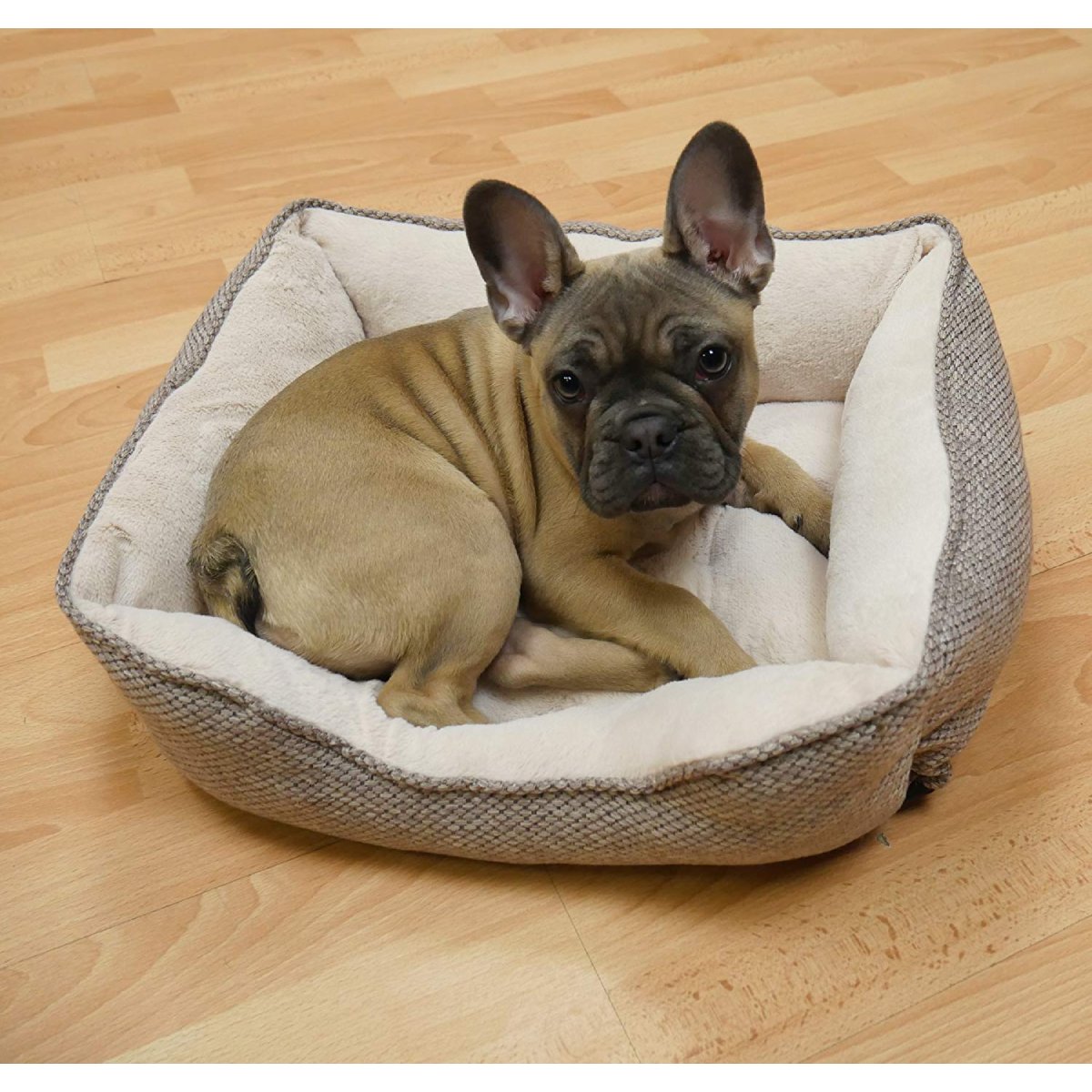 French Bulldog resting in a Rosewood Luxury Truffle Square Dog Bed with a cream fleece interior and comfortable padded sides.