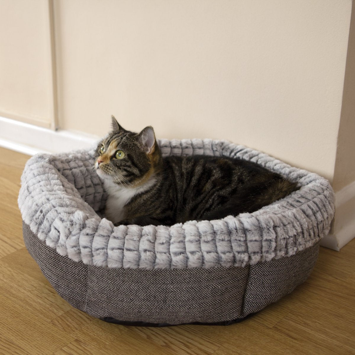 Tabby cat resting inside the Rosewood Luxury Tweed and Plush Round Pet Bed in a home setting