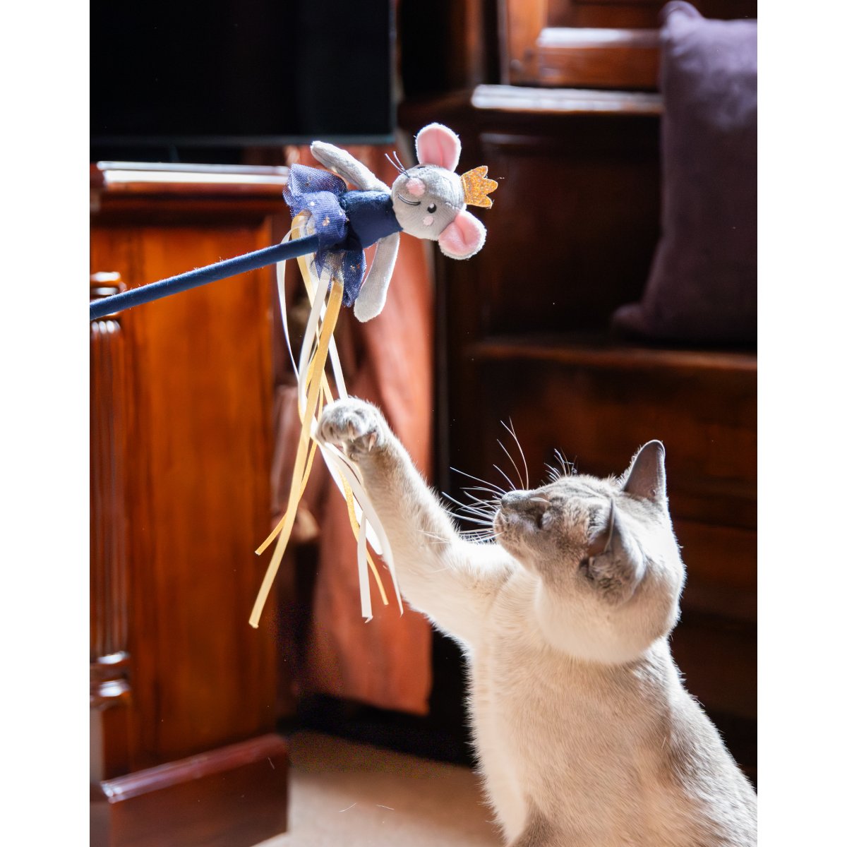 Siamese-style cat reaching up with its paw towards the gold and white ribbons of the Rosewood Marie Mouse Christmas cat teaser wand.