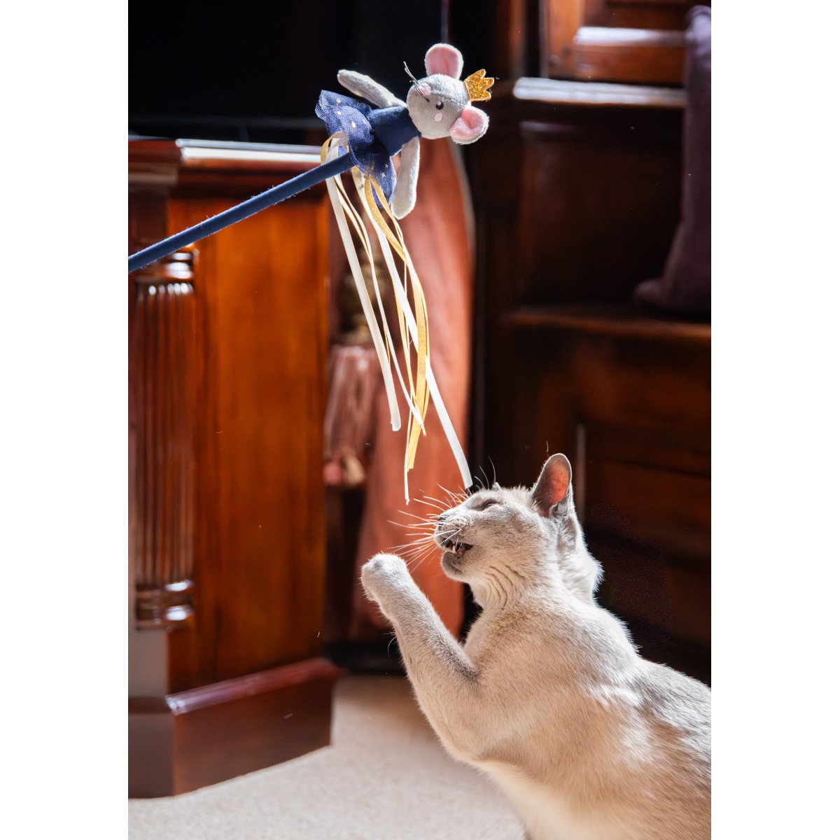 Close-up of a Siamese-style cat watching the Rosewood Marie Mouse cat teaser, showing the grey mouse character, pink ears, gold crown and flowing ribbons.